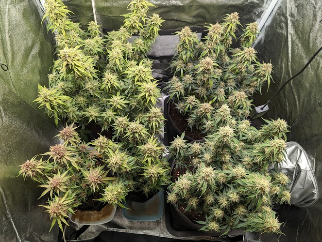 Growreport Bild 8