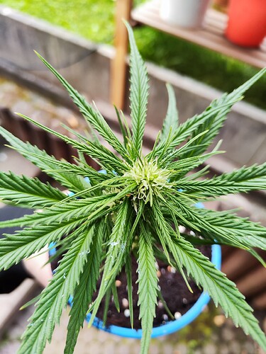 Growreport Bild 18