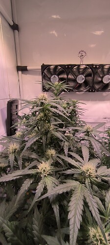 Growreport Bild 10