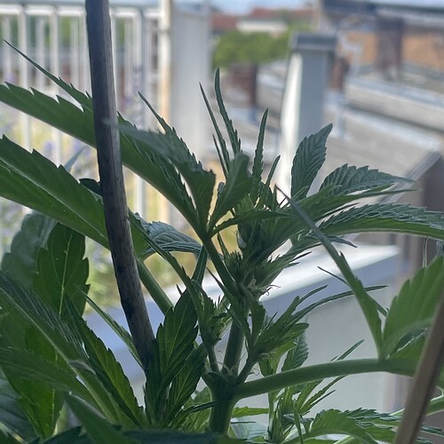 Growreport Bild 12