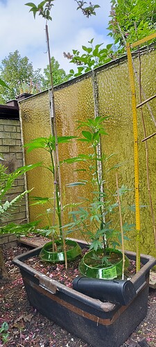 Growreport Bild 21