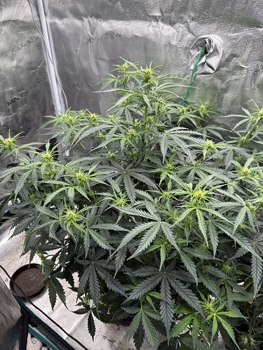 Growreport Bild 10