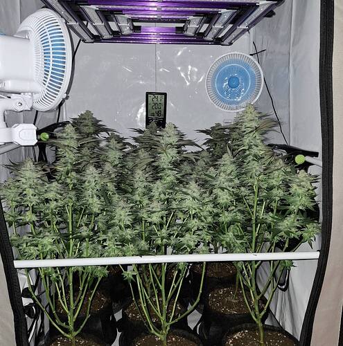 476467912_122167526318293599_6212056457240616485_n