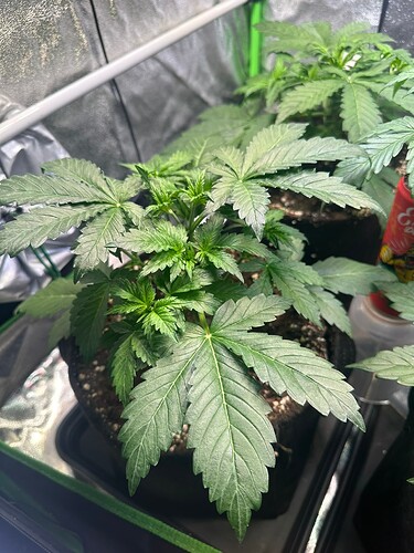 Growreport Bild 23