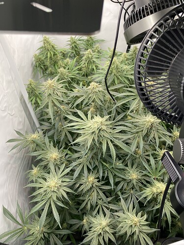 Growreport Bild 17