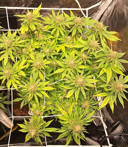 Growreport Bild 10
