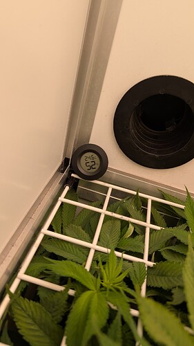 Growreport Bild 12