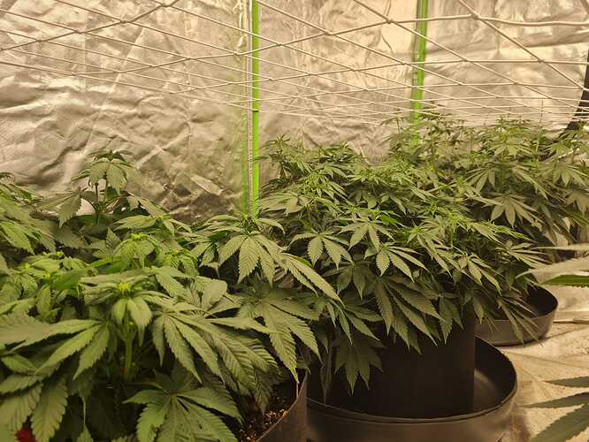 Growreport Bild 11