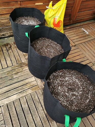 Growreport Bild 6