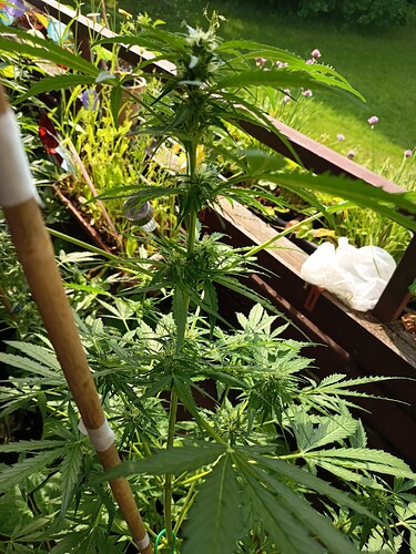 Growreport Bild 17