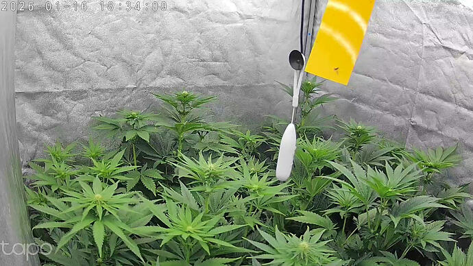 Growreport Bild 19