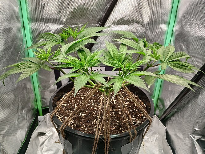 Growreport Bild 14