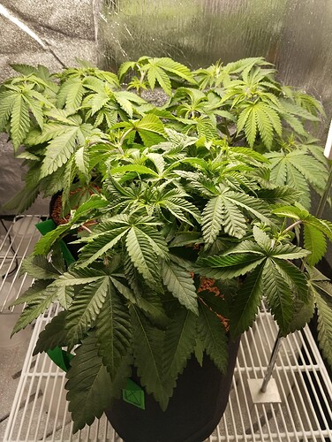 Growreport Bild 10