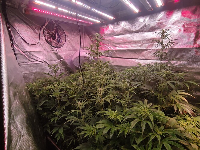 Growreport Bild 12