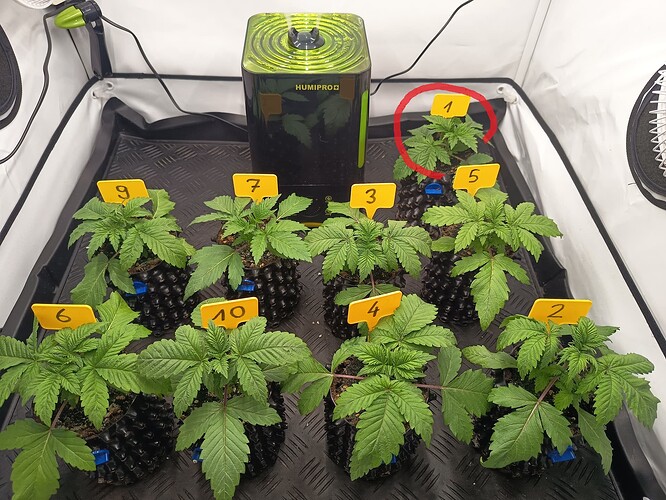 Growreport Bild 2