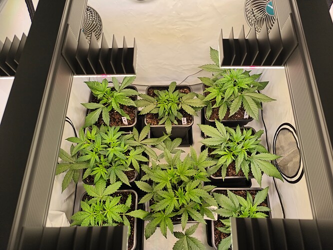 Growreport Bild 4