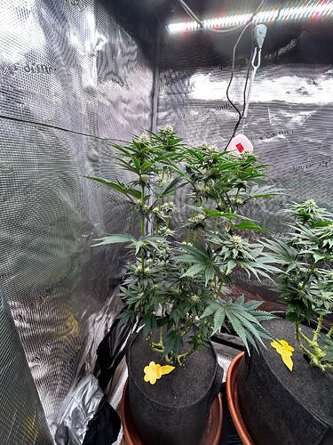 Growreport Bild 10