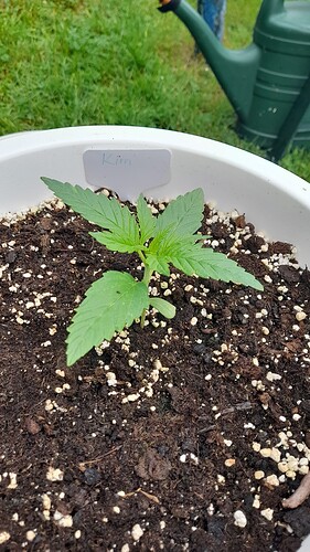 Growreport Bild 22