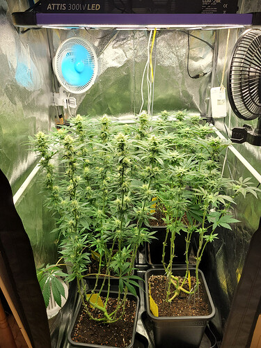 Growreport Bild 7