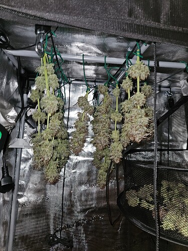 Growreport Bild 9