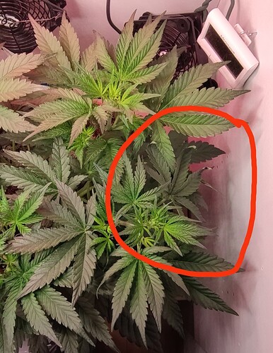 Growreport Bild 17