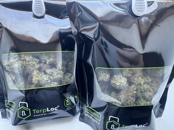 Growreport Bild 52