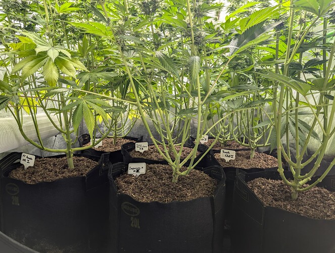Growreport Bild 1