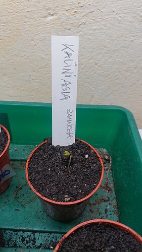 Growreport Bild 6