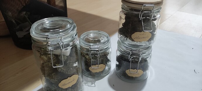 Growreport Bild 6
