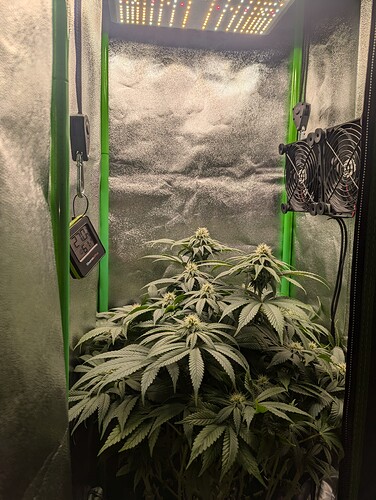 PXL_20241020_164542143