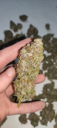 Growreport Bild 4