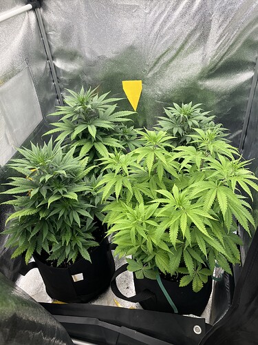 Growreport Bild 5