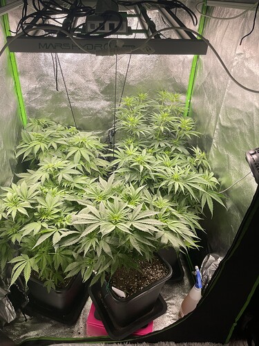 Growreport Bild 3
