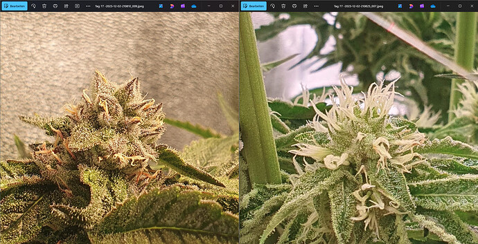 Growreport Bild 6