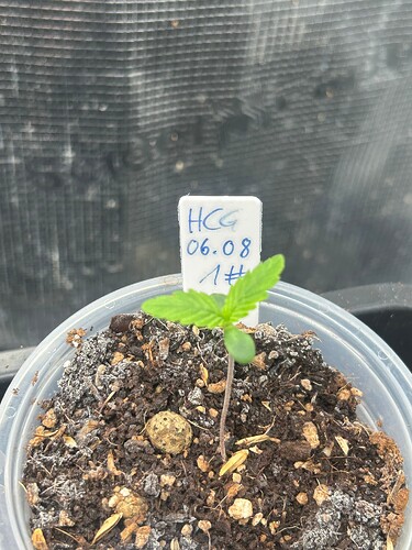 Growreport Bild 24