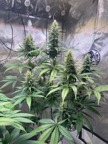 Growreport Bild 10