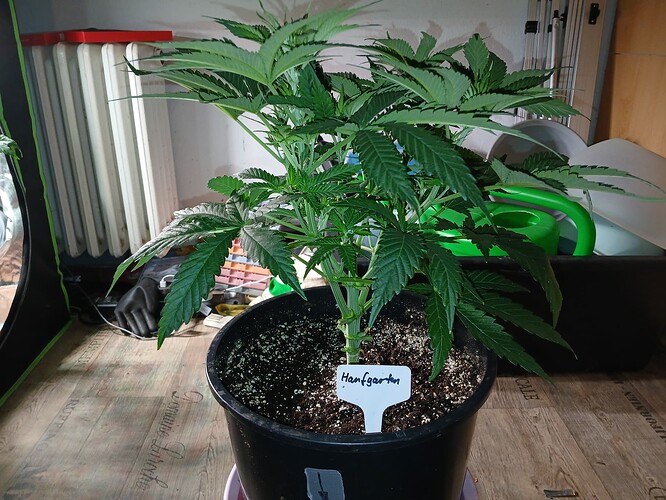 Growreport Bild 11