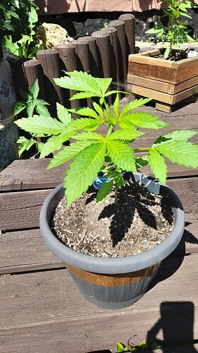Growreport Bild 10