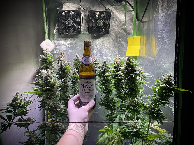 Growreport Bild 4