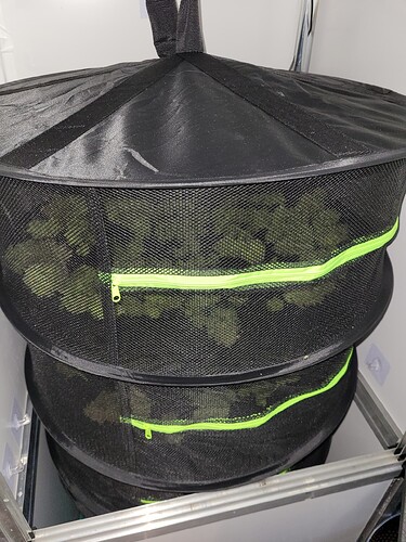 Growreport Bild 20
