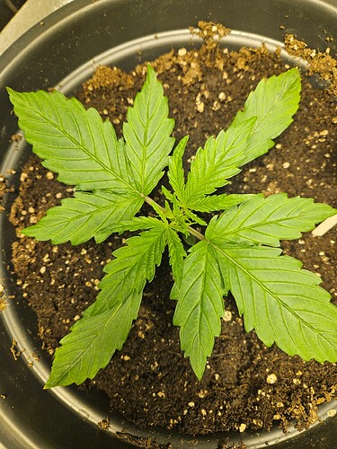 Growreport Bild 24