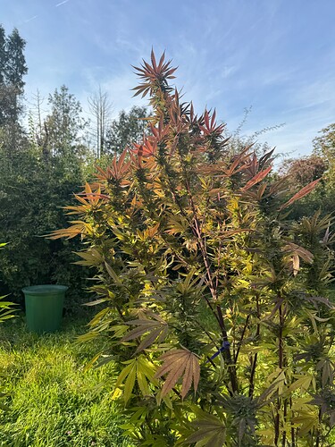 Growreport Bild 16