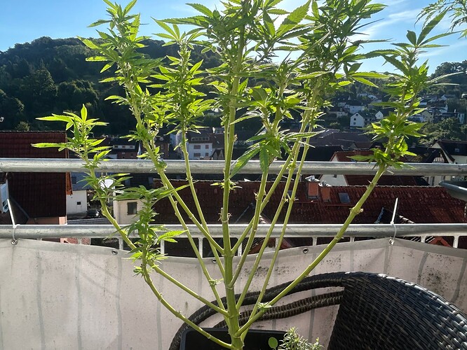 Growreport Bild 23