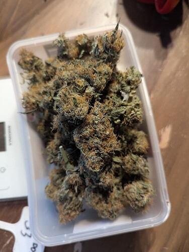 Growreport Bild 2