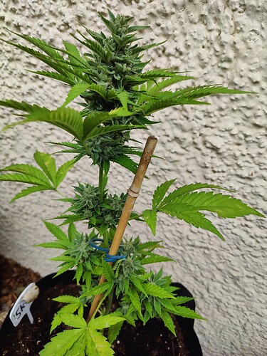 Growreport Bild 15