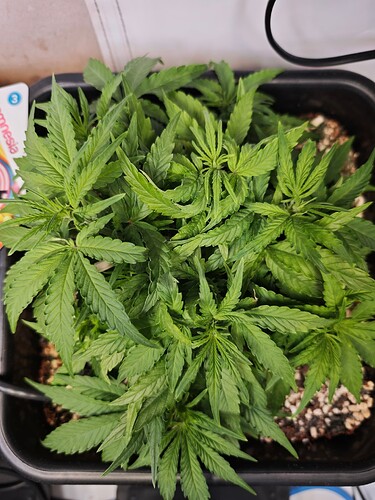 MVIMG_20251012_210450