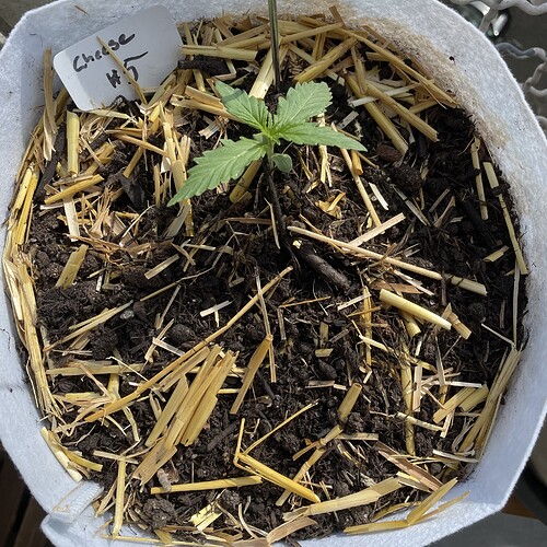 Growreport Bild 12