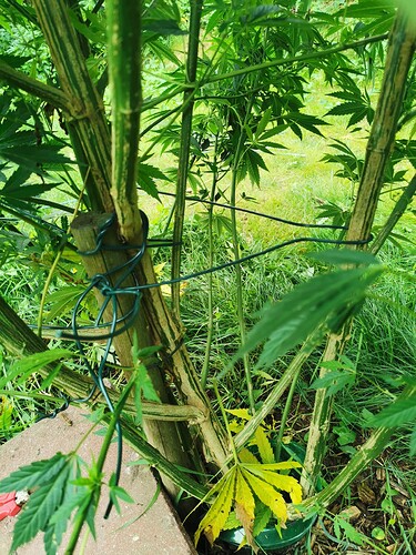 Growreport Bild 10
