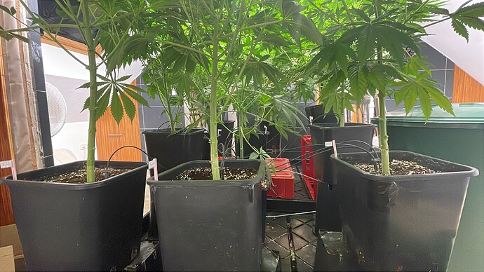 Growreport Bild 14