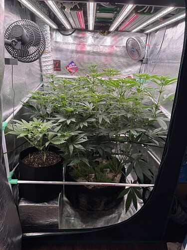 Growreport Bild 22
